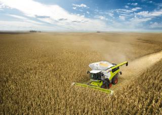 Combine maaidorsers Claas Lexion 8900 TerraTrac 