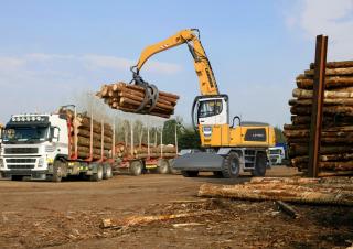 Graafmachines in overslaguitvoering Liebherr LH 60 M Timber Litronic