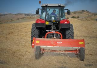 Mulcher grasmaaier Maschio Chiara 250 F