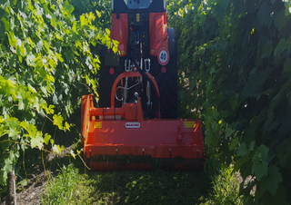 Mulcher grasmaaier Maschio Furba 100