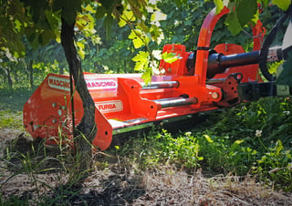 Mulcher grasmaaier Maschio Furba 100