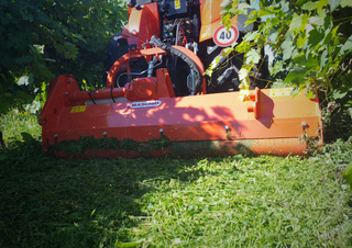 Mulcher grasmaaier Maschio Furba 100