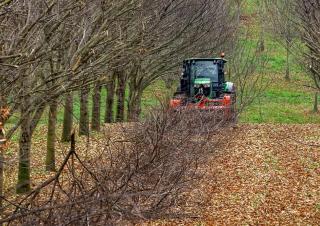 Mulcher grasmaaier Kuhn TDP 2000