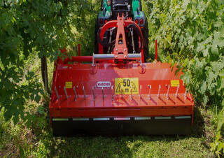 Mulcher grasmaaier Maschio Tigre 250