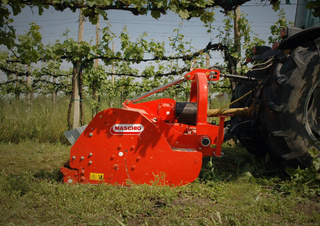 Mulcher grasmaaier Maschio Tigre 250