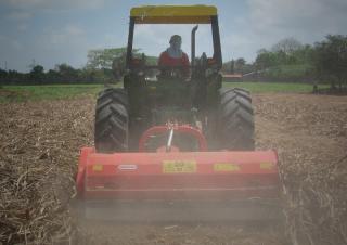 Mulcher grasmaaier Maschio Tornado 250