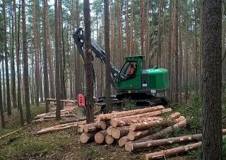 Bosbouwmachines Oogstmachines Neuson Forest 103HVT