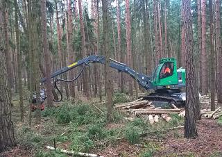 Bosbouwmachines Oogstmachines Neuson Forest 104HV