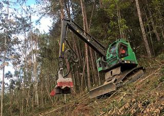 Bosbouwmachines Oogstmachines Neuson Forest 183HVT