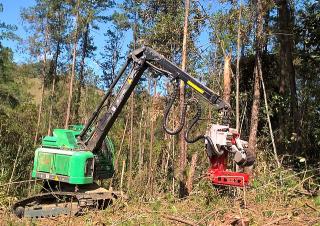 Bosbouwmachines Oogstmachines Neuson Forest 183HVT