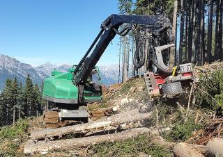 Bosbouwmachines Oogstmachines Neuson Forest 243HV