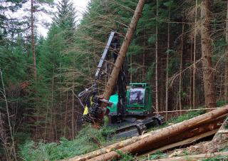 Bosbouwmachines Oogstmachines Neuson Forest 243HVT