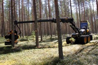 Bosbouwmachines Oogstmachines Ponsse Ergo