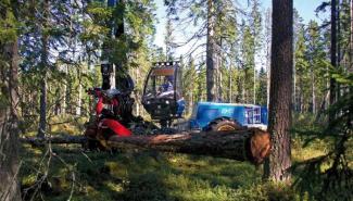 Bosbouwmachines Oogstmachines Rottne H 11