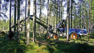 Bosbouwmachines Oogstmachines Rottne H 11