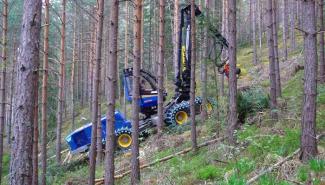 Bosbouwmachines Oogstmachines Rottne H 11