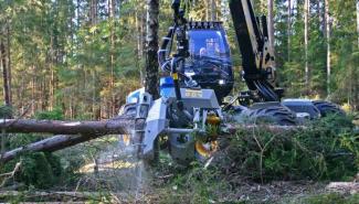 Bosbouwmachines Oogstmachines Rottne H 20 B