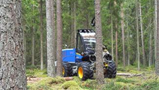 Bosbouwmachines Oogstmachines Rottne H 8 B