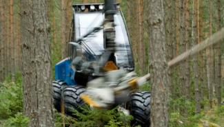 Bosbouwmachines Oogstmachines Rottne H 8 B