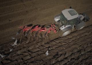 Ploegen Maschio Unico L 4E