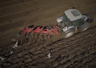 Ploegen Maschio Unico L 4NE