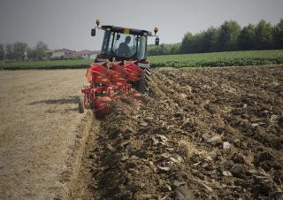 Ploegen Maschio Unico XS 2+1