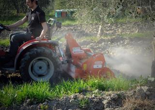 Rotorkopeggen Maschio W 105