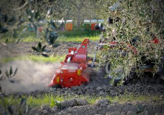 Rotorkopeggen Maschio W 165
