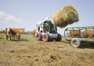 Schrankladers Bobcat S770