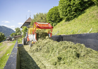 Silagewagens Pöttinger Boss 3190 Master
