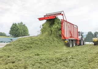 Silagewagens Pöttinger Jumbo 6020 L