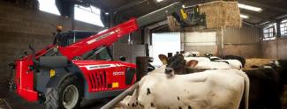 Telescoopladers Massey Ferguson MF 9205