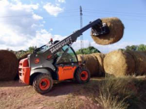 Telescoopladers Ausa T 204 H