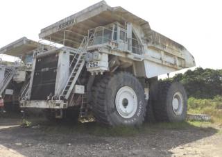 Stortwagen met achterwaartse kanteling Liebherr T 252