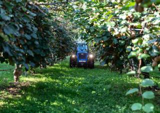 Tractoren met vierwielaandrijving BCS Eagle 85 SDT