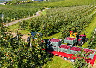 Tractoren met vierwielaandrijving Valtra F105S
