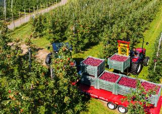 Tractoren met vierwielaandrijving Valtra F95S