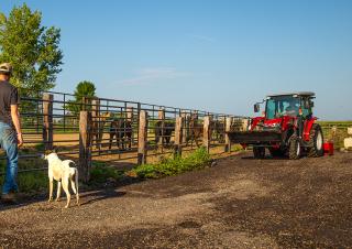 Tractoren met vierwielaandrijving Massey Ferguson MF 1765 M