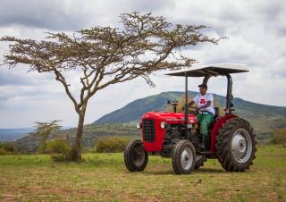 Tractoren met vierwielaandrijving Massey Ferguson MF 35
