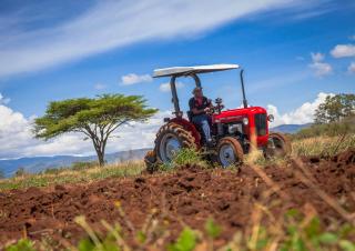 Tractoren met vierwielaandrijving Massey Ferguson MF 35