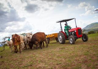 Tractoren met vierwielaandrijving Massey Ferguson MF 35