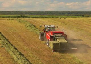 Vierkante-balenpersen Massey Ferguson MF 2190 TP