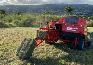 Vierkante-balenpersen Maschio Pitagora