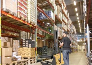 Pallet Stapelaars Walkie stapelaars Caterpillar NSP12QLMI