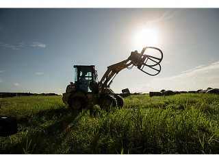 Wielladers Caterpillar 903D