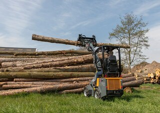 Wielladers Giant G1200 Tele