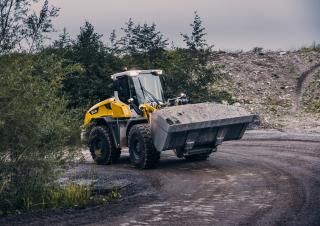 Wielladers Liebherr L 546