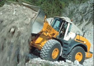Wielladers Liebherr L 564 2+2