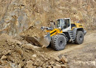 Wielladers Liebherr L 586 XPower