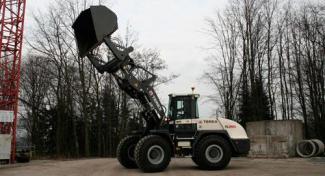 Wielladers Terex TL 260